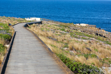 Fototapeta na wymiar The wooden boardwalk down to to Admirals Arch on Kangaroo Island South Australia on May 8th 2021