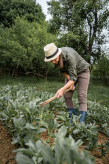 Front view of young caucasian woman female farmer working in the agriculture filed holding hoe to remove weeds and shaping soil and hilling - real people horticulture and self sufficiency concept