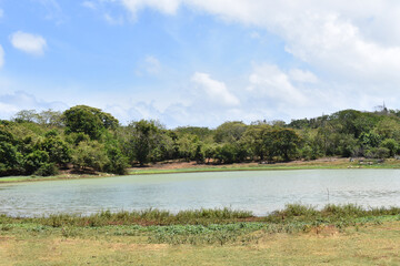 Lago en dia de sol