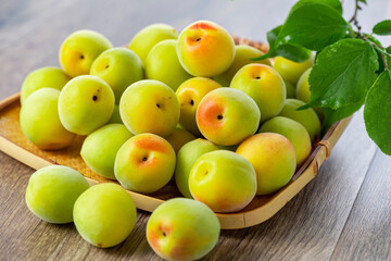 収穫した青梅　梅酒　梅シロップ