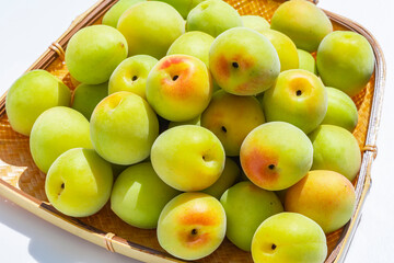 収穫した青梅　梅酒　梅シロップ