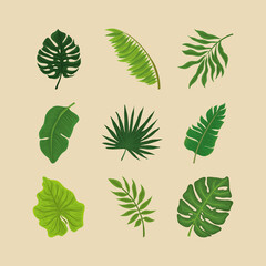 tropical exotic leaves