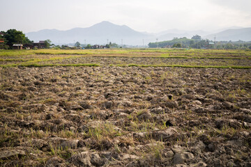 Agriculture plowed field. Dirt soil ground in farm. Tillage soil prepared for planting crop. Fertile soil in organic agricultural farm. Landscape of farmland.