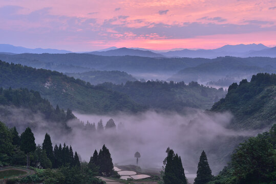 一本杉 Images Browse 139 Stock Photos, Vectors, and Video Adobe Stock
