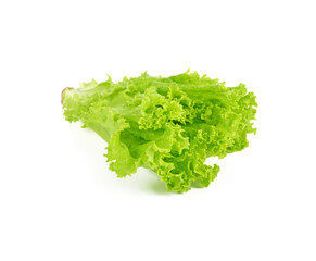 Lettuce  isolated on white background.