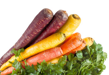 Multi-colored carrots and italian parsley