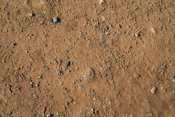 Dry earth texture. Brown color. Background for design