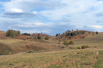 Obraz premium Western Siberia. Foothill landscape in the Charyshsky district of the Altai Territory