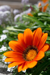 Parque Nacional Enrique Olaya Herrera en Bogotá Colombia. 