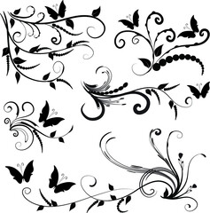 Calligraphic decorative elements with lines and butterfly design set