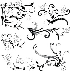 Calligraphic decorative elements with lines and butterfly design set
