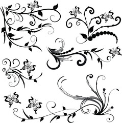 Calligraphic decorative elements with lines and butterfly design set