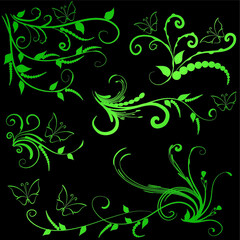 Calligraphic decorative elements with lines and butterfly design set