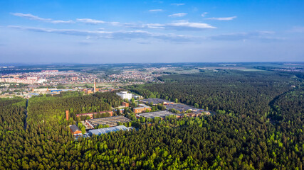 Coniferous forest surrounding the city. Berdsk, Western Siberia