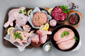 Raw chicken meat parts with spices and herbs for cooking on gray background.