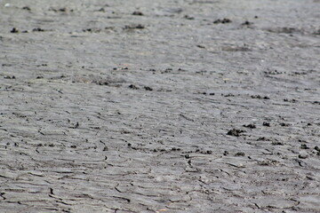 Cracked mud in a dry river bed