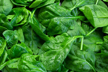 Fototapeta na wymiar A close up of a pack of spinach