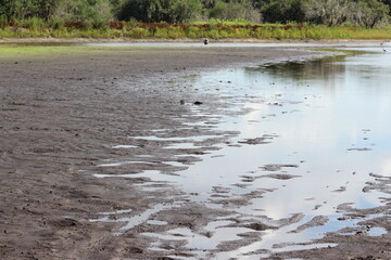 Mud and water in a dry river bed
