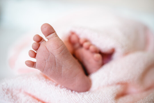Baby girl's feet cover in a pink towel. Tiny Newborn Baby's feet closeup. Beautiful conceptual image of Maternity
