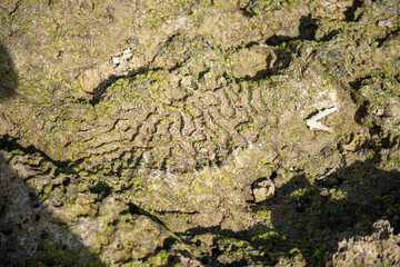 沖縄　玻名城ビーチ