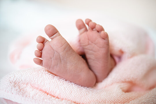 Baby girl's feet cover in a pink towel. Tiny Newborn Baby's feet closeup. Happy child concept. Beautiful conceptual image of Maternity