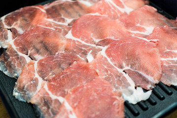 ビーグルの授乳
