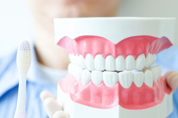 hands of a dentist, he is demonstrating how to brush your teeth properly. To clean the teeth and oral cavity.