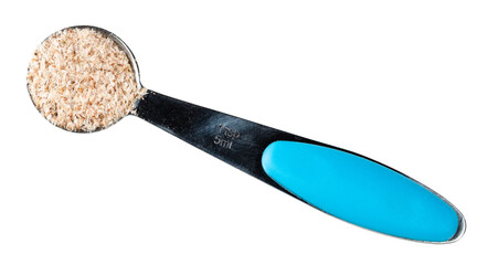 Psyllium husk in steel measuring teaspoon cutout