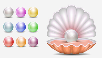 set of realistic shiny pearls or various color pearls inside sea shell or opened sea shell with soft mollusk. eps vector 