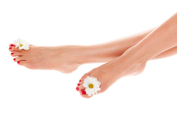 Beautiful female legs with daisy flower isolated on white background.