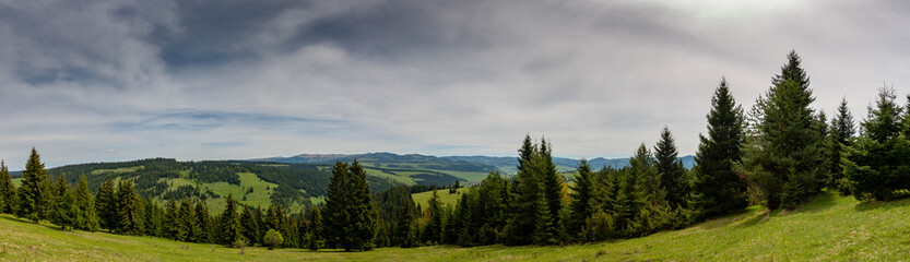 Fototapeta na wymiar Panoramic landscape view from the top of tmountain on an overcasted day in Romania.