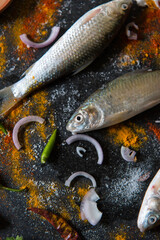 Obraz na płótnie Canvas Raw fish food ingredients background. Close up, selective focus.