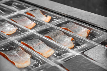 Trout pieces and wedges lie on a conveyor in trays for vacuum packing