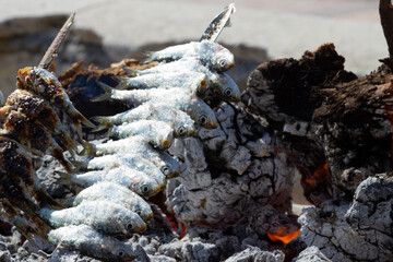 Espetos, sardinas a la brasa, típico plato de Málaga, Andalucía, España