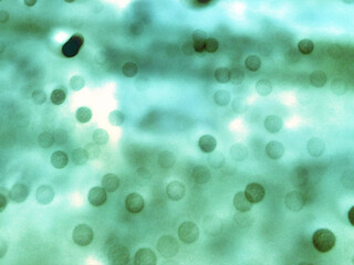 bio technology image graphic