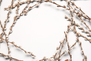 Frame made of willow branches on light background