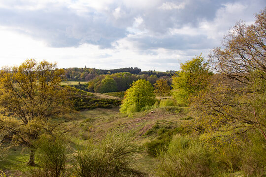 Landscapes And Nature In Svanninge Hills On South Of Funen In Denmark.