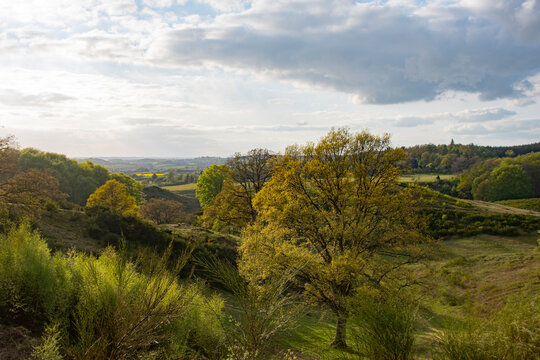 Landscapes And Nature In Svanninge Hills On South Of Funen In Denmark.