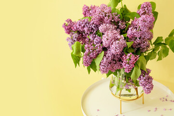 Vase with beautiful lilac flowers on table near color wall