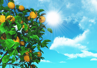 3D orange tree on a sunny blue sky