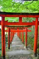 出石城 有子山稲荷公園の鳥居