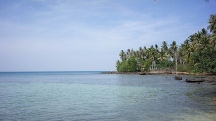 sea and rocky shore with coconut palm tree, Koh Kood, Thailand.
