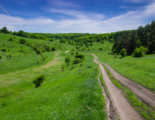 Fototapeta na wymiar Beautiful summer landscape - a road leading into the hills between the trees