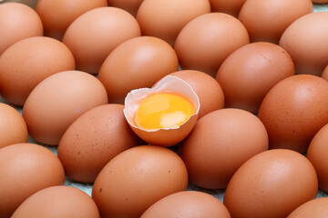 卵、背景として鶏の卵