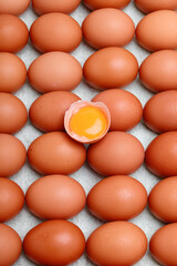 卵、背景として鶏の卵