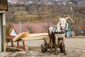 Transport in the village by horse