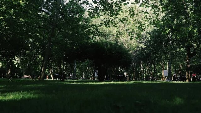 Timelapse with people in the IOR park in Bucharest during a sunny summer evening.