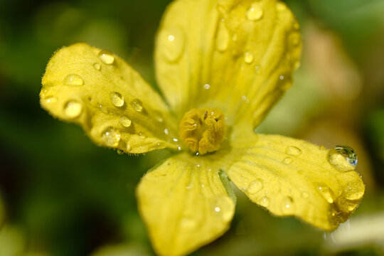 岩田 和大 Photos Images Assets Adobe Stock 岩田 和大 Photos Images Assets Adobe Stock