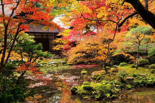 Autumn garden and temple at Nanzen-ji, Kyoto