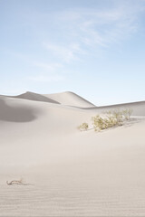 view of nice sands dunes at Sands Dunes National Park